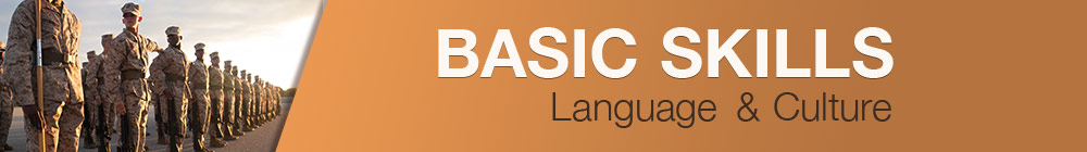 Basic Skills Banner