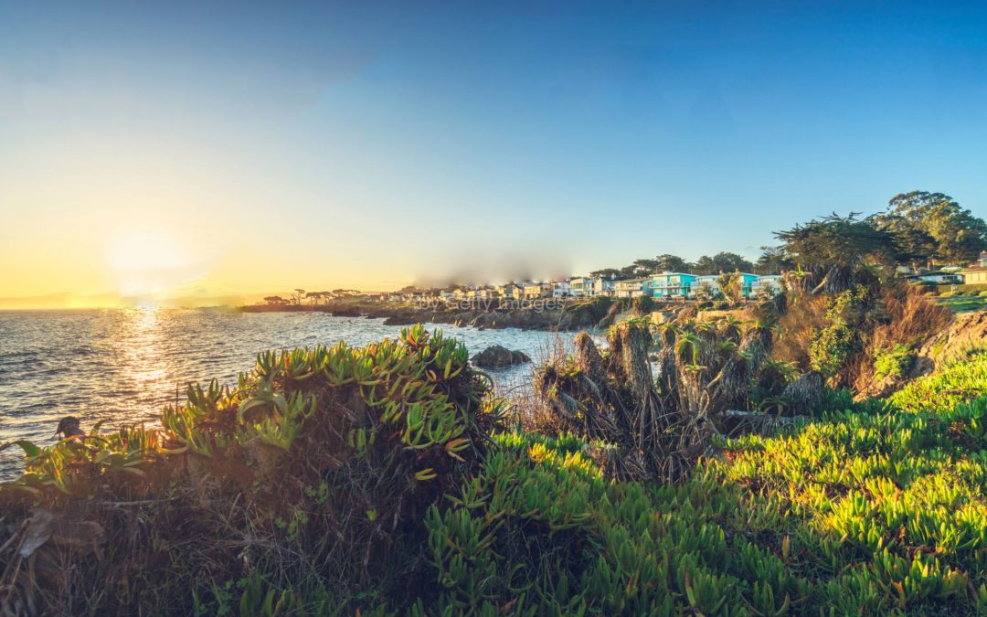 scenic carmel beach of Carmel-by-the-Sea,California,USA.