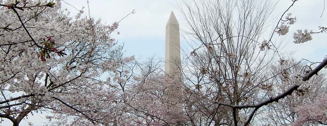 Washington Monument